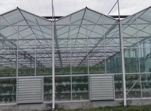 智能溫室