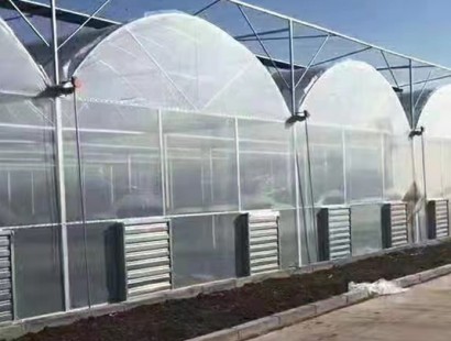 連棟溫室