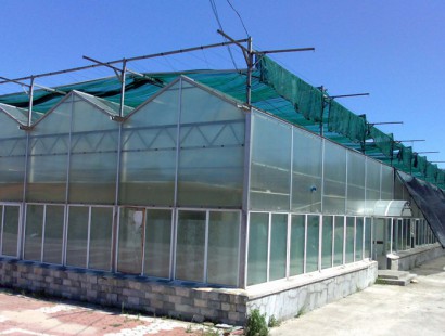 陽(yáng)光板溫室