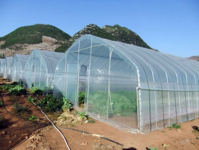 單體拱棚溫室